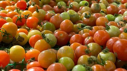 Im&aacute;gen de tomatillo